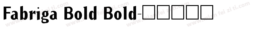 Fabriga Bold Bold字体转换
